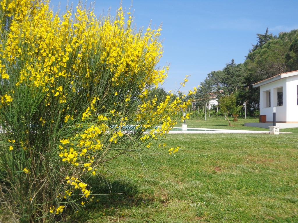 Séjour à la ferme San Giuseppe